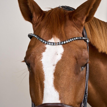 Brida con muserola ancha de cuero suave Dy'on Castaño Marrón