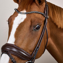 Brida con muserola ancha de cuero suave Dy'on Castaño Marrón