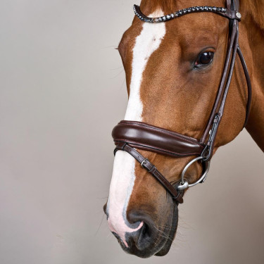 Brida con muserola ancha de cuero suave Dy'on Castaño Marrón