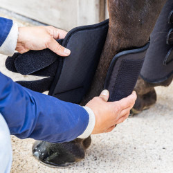 Protecciones traseras de cross Kentucky 3D Air Flow Negro Protecciones traseras de cross Kentucky 3D Air Flow Negro