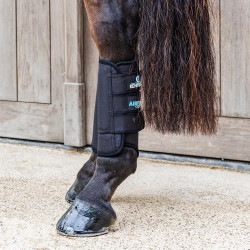 Protectores traseros de cross Kentucky 3D Air Flow Skin-Friendly Negro Protectores traseros de cross Kentucky 3D Air Flow Skin-Friendly Negro