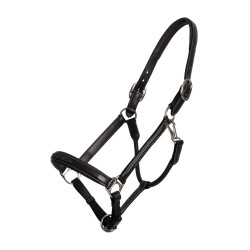 Cabezada Fancy Dy'on Negro