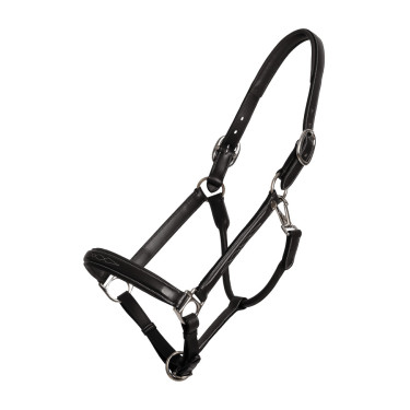 Cabezada Fancy Dy'on Negro