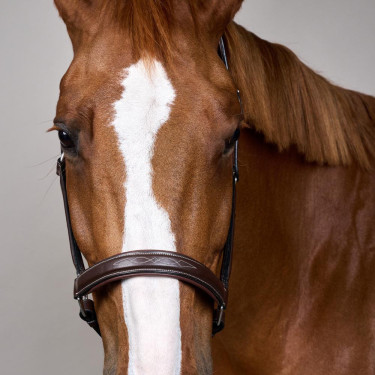 Cabezada Fancy Dy'on Castaño Marrón Cabezada Fancy Dy'on Castaño Marrón