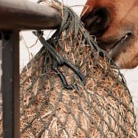 Mosquetón de aluminio Safety Grooming Deluxe de Kentucky Negro