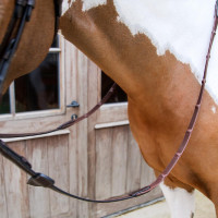 Riendas de goma Dy'on 1/2 con 7 topes integrados Castaño Marrón Riendas de goma Dy'on 1/2 con 7 topes integrados Castaño Marrón