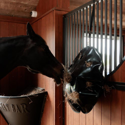 Bolsa de heno Play & Slowfeeder redondo Grooming Deluxe de Kentucky Negro Bolsa de heno Play & Slowfeeder redondo Grooming Deluxe de Kentucky Negro