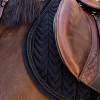 Manta de salto Kentucky Velvet Mini Pearls Negro