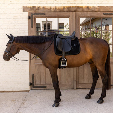 Mantilla Kentucky Velvet Mini Pearls Dressage Negro Mantilla Kentucky Velvet Mini Pearls Dressage Negro