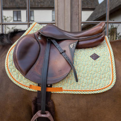Manta de silla de terciopelo Kentucky estampada Colorido Manta de silla de terciopelo Kentucky estampada Colorido