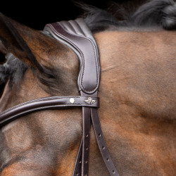 Brida HV Polo Legacy Marrón chocolate Marrón Brida HV Polo Legacy Marrón chocolate Marrón