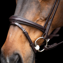 Brida HV Polo Legacy Marrón chocolate Marrón Brida HV Polo Legacy Marrón chocolate Marrón
