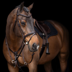 Martingala HV Polo Legacy Marrón chocolate Marr&amp;amp;amp;oacute;n