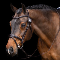 Número de cabezada HV Polo Legacy Castaño Marr&amp;amp;amp;oacute;n