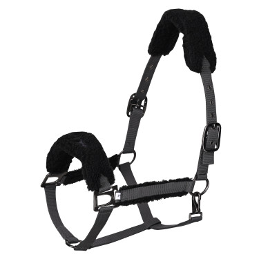 Cabezada HV Polo Teddy Nube Blanco