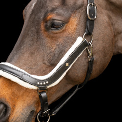 Cabezada Imperial Riding Luxury Negro Cabezada Imperial Riding Luxury Negro