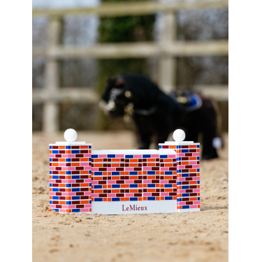 Obstáculo de potencia Toy Pony LeMieux Multi Multicolor