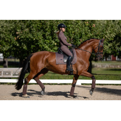 Vendajes de polo Equestrian Stockholm Amaranthe