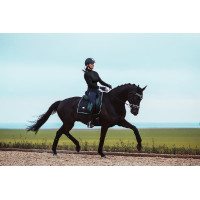 Vendajes de polo Equestrian Stockholm Todo negro brillante