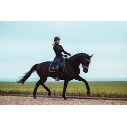 Vendajes de polo Equestrian Stockholm Edición negra Negro
