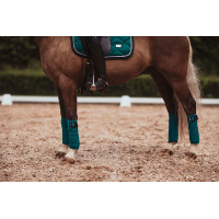 Vendajes de polo Equestrian Stockholm Todo negro brillante
