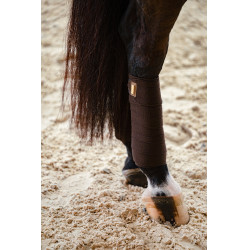Vendajes de polo Equestrian Stockholm Marrón dorado