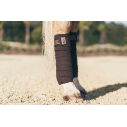 Vendajes de polo Equestrian Stockholm Marrón dorado