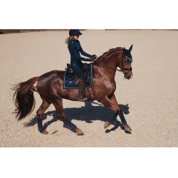 Vendajes de polo Equestrian Stockholm Azul medianoche Azul marino Vendajes de polo Equestrian Stockholm Azul medianoche Azul marino