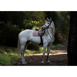 Bonete antimoscas Equestrian Stockholm Rosa empolvado Bonete antimoscas Equestrian Stockholm Rosa empolvado