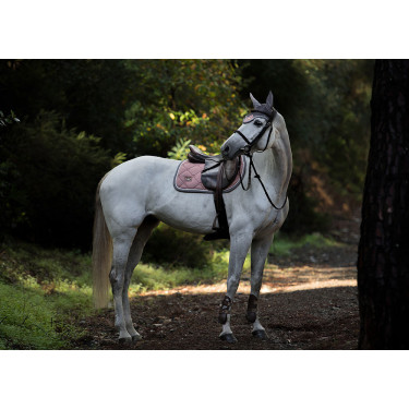 Bonete antimoscas Equestrian Stockholm Rosa empolvado Bonete antimoscas Equestrian Stockholm Rosa empolvado