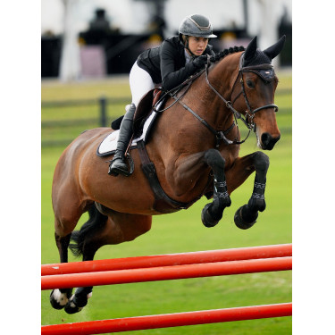 Capucha antimoscas Equestrian Stockholm con cancelación de ruido Océano oscuro Azul marino