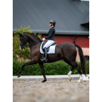 Capucha antimoscas Equestrian Stockholm con cancelación de ruido Negro