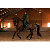 Orejeras antimoscas Equestrian Stockholm Performance Negro