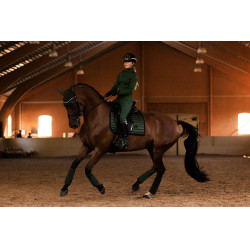 Orejeras antimoscas Equestrian Stockholm Performance Verde sicómoro