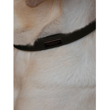 Collar para perro Equestrian Stockholm clean Noche sin luna Collar para perro Equestrian Stockholm clean Noche sin luna