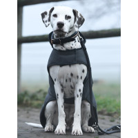 Manta para perro de forro polar Equestrian Stockholm Cielo oscuro