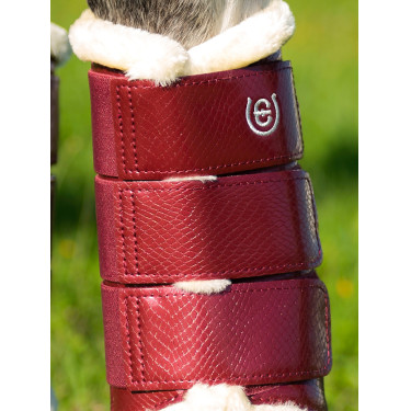 Gueteras de doma Equestrian Stockholm Burdeos