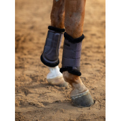 Gueteras de doma Equestrian Stockholm Violeta oscuro Gueteras de doma Equestrian Stockholm Violeta oscuro