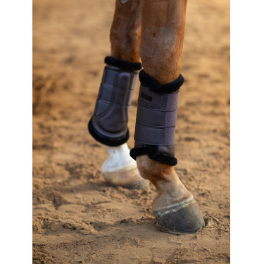Gueteras de doma Equestrian Stockholm Violeta oscuro Gueteras de doma Equestrian Stockholm Violeta oscuro