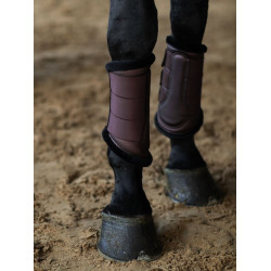Gueteras de doma Equestrian Stockholm Brillo infinito Marrón Gueteras de doma Equestrian Stockholm Brillo infinito Marrón