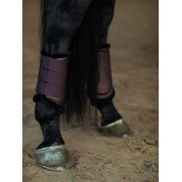 Gueteras de doma Equestrian Stockholm Brillo infinito Marrón Gueteras de doma Equestrian Stockholm Brillo infinito Marrón
