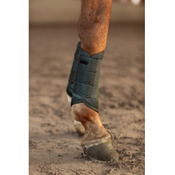 Guarniciones de doma Equestrian Stockholm de malla Avenida Verde