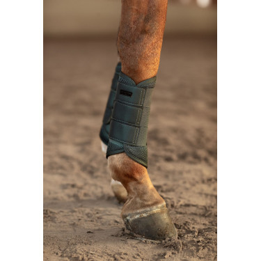 Guarniciones de doma Equestrian Stockholm de malla Avenida Verde