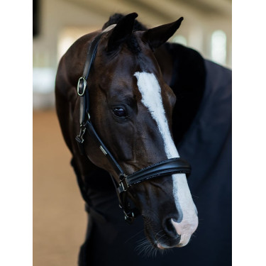Cabezada de cuero Equestrian Stockholm anatómica brillante Edición Noir