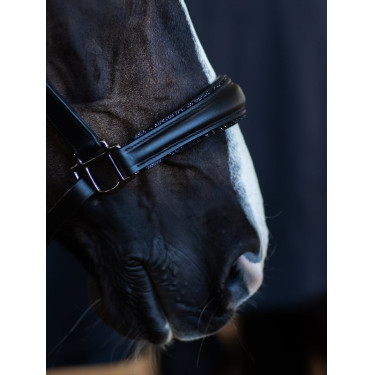 Cabezada de cuero Equestrian Stockholm anatómica brillante Edición Noir