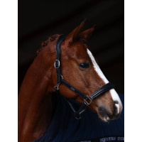 Cabezada de cuero Equestrian Stockholm anatómica brillante Full marrón