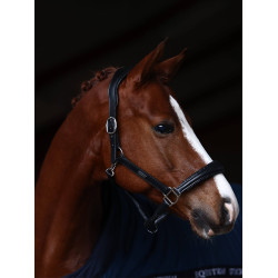 Cabezada de cuero Equestrian Stockholm anatómica brillante Pradera azul Cabezada de cuero Equestrian Stockholm anatómica brillante Pradera azul