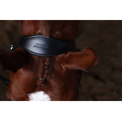 Cabezada de cuero Equestrian Stockholm anatómica brillante Pradera azul Cabezada de cuero Equestrian Stockholm anatómica brillante Pradera azul