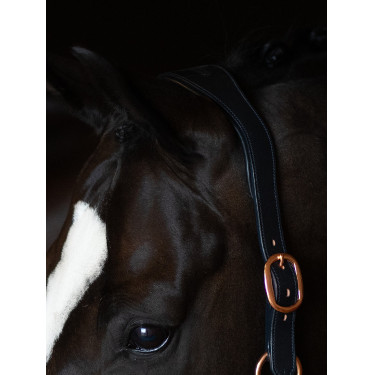 Cabezada de cuero Equestrian Stockholm anatómica brillante Océano oscuro