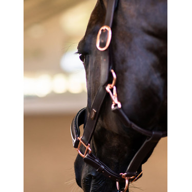 Cabezada de cuero Equestrian Stockholm anatómica brillante Noche sin luna